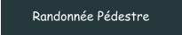Randonnée Pédestre