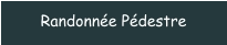Randonnée Pédestre